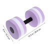 Didiseaon 2pcs Sports Aquatic Exercise Dumbbells Eva Aqua Fitness Barbells