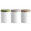 Mason Cash In The Forest Tea, Coffee & Sugar Canisters