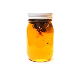 Hornet Pickled Honey, 21.2 oz (600 g), Domestic Honey