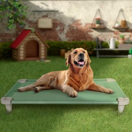 Acrimet Cooling Elevated Pet Dog Bed, Washable and Breathable Mesh Cot, Stainless Steel Frame, Indoor & Outdoor Use, fits Dogs up to 110 lbs (Size: 40” x 24”), Green, 1 Unit
