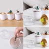 HomDSim 2 Pack Creative Cotton Swab Holder,Cotton Bud Small Q-Tips