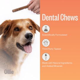 Ollie Dental Chews for Small Dogs, 12 Oz, Fresh Breath, Teeth Cleaning Treats, Sticks for Dog Oral Care, with Parsley and Cinnimon, for Pups 16-25 lbs