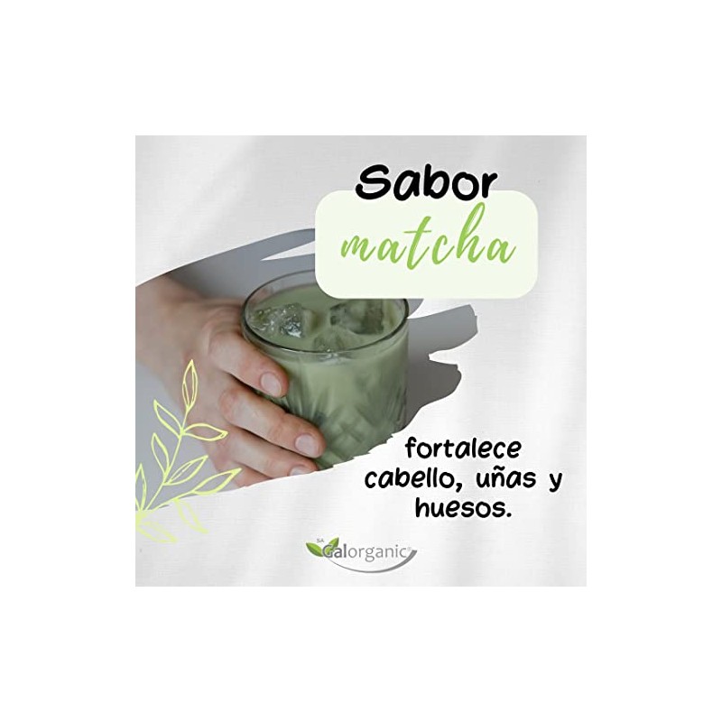 Colágeno Hidrolizado. Adicionado con Matcha y Vitamina C. 500 Gramos.