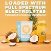 Gnarly Nutrition Hydrate Electrolyte Powder – Pina Colada Exercise Hydration
