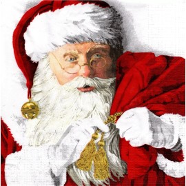 (2) Two Paper Lunch Napkins for Decoupage/Mixe