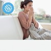 Leitz Trusens Allergy and Flu Carbon Replacement Filter For Leitz
