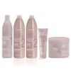 Alfaparf Lisse Desing Keratin Kit Profesional - 4 Pasos