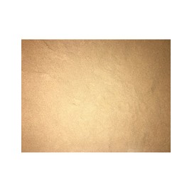 Red Reishi Powder (1 lb)