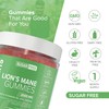 Novomins Lion’s Mane Gummies - Sugar Free – High Strength