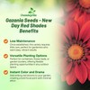 Outsidepride New Day Red Shades Gazania Seeds for Planting –