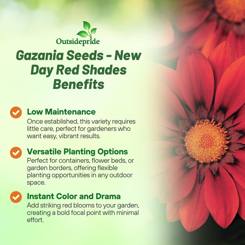 Outsidepride New Day Red Shades Gazania Seeds for Planting –