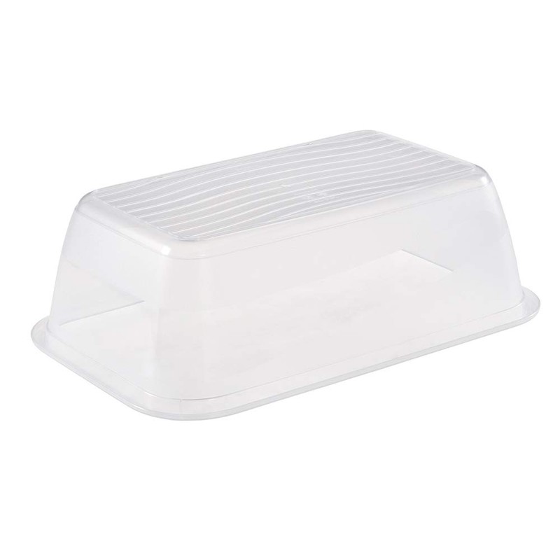 Keeeper Storage Container Set Purple Transparent