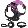 Dog Harness Set, No Pull Dog Vest Harness and 5ft