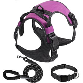Dog Harness Set, No Pull Dog Vest Harness and 5ft Leash & Collar for Small Medium Sized Large Dog Cat,Adjustable Soft Nylon Padded Dog Vest Reflective Front Clip Vest with Easy Handle -Purple S