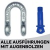 Shackle straight 0.5 t - 12 t | Shackle set