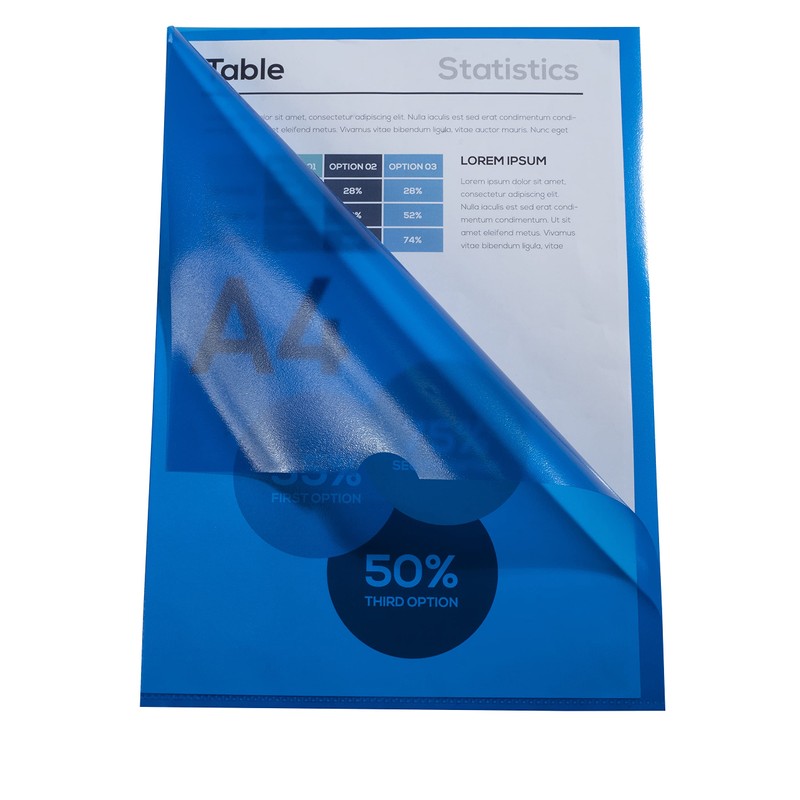 Exacompta 56119E Pack of 10 Polypropylene Plastic File Sleeves for