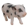 Hi-Line Gift Ltd Stanading Baby Pig, 5"