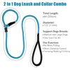 Strong Slip Lead Dog Leash, Heavy Duty Nylon Dog Training