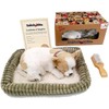 Plenty Gifts 4906 Perfect Petzzz Soft Chihuahua (Tan & White),