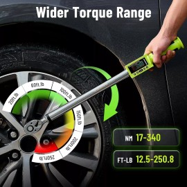 Robustrue Electronic Torque Wrench with Buzzer & LED, 500 Data Memory 1/2-Inch Drive