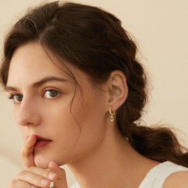 HZMAN Nautical Anchor Dangle Earring for Women 14K Gold Plated Dainty Cubic Zirconia Drop Earrings Jewelry Gift