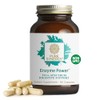 Pure Synergy Enzyme Power Digestive & Gut Health 90 Capsules