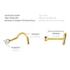 PIERCINGLINE Titanium Nose Stud Spiral with Push Fit Attachment Set