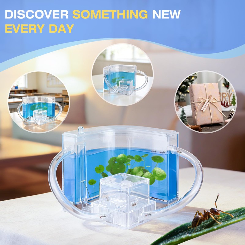 Ant Nest, Ant Habitat Kit