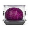 ProKeeper+ by Progressive Stackable Produce ProKeeper Storage Container with Stay-Fresh