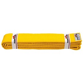 Tiger Claw Martial Arts Yellow Belt (3)