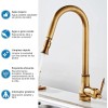 Rozin Kitchen Faucet Pull Out Spray Single Handle Sink Swivel