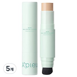 APIEU Men's All Cover Calming Foundation 12g, 5 pieces, 02 Healthy / 어퓨 맨즈 올 커버 카밍 파운데이션 12g, 5개, 02 헬시