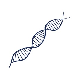 Tattwo.me Temporary Tattoos for Adults and Kids 2 Weeks Waterproof - DNA - Vegetable Ink - EU Cosmetic Certificate - (M0083)