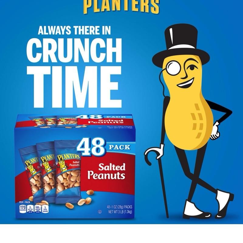 Planters Salted Peanuts - Protein Rich Snack - Single-Serve Packs