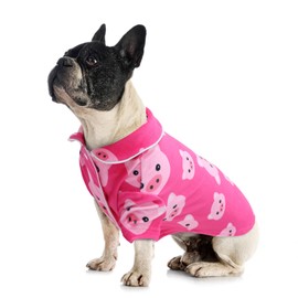 CuteBone Two-Leg Spandex Crystal Velvet Pet Pajamas - Soft, Cozy, and Stretchy Sleepwear for Dogs and Cats LTP02S