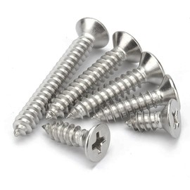 EBAIJQUO M3.5 x 10 mm Phillips Flat Head Wood Screws 304 Stainless Steel Self-Tapping High Strength Screws for Construction and Carpentry (Pack of 100)