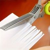 5-Blade Stainless Steel Herb Scissors for Kitchen Food Prep –