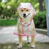 KoKoBin Reflective Coat for Dogs Cats with Hood, Adjustable, PVC,