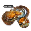 LGSY 7-8mm Mixed Colored Akoya Saltwater Cultured Pearl Oysters for