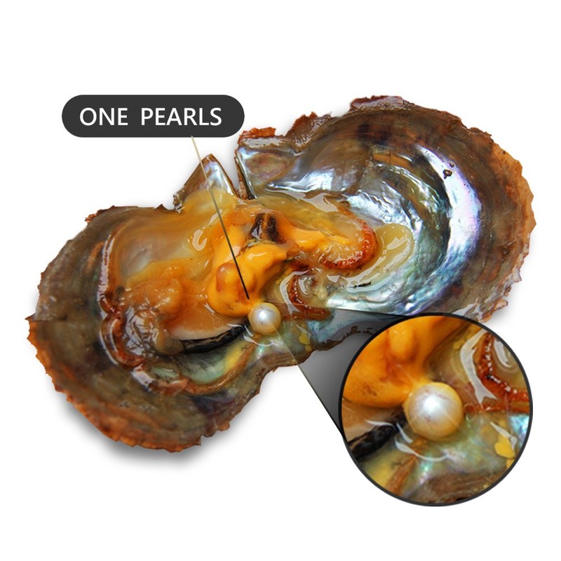 LGSY 7-8mm Mixed Colored Akoya Saltwater Cultured Pearl Oysters for