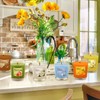24 Pack Scented Aromatherapy Candles - 12 Fragrances 1.8 Oz
