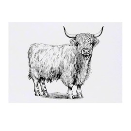Azeeda 'Hochlandrind stehend' Temporäres Tattoo - Hautfreundlicher & Ungiftiger Abziehbild · Wasserfest (TO00080561)