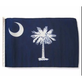 AES South Carolina State 12x18 12"x18" Sleeve Garden Flag