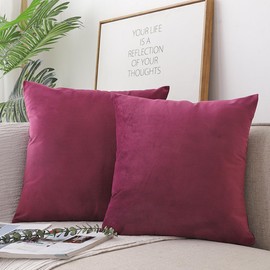 Qrity Decorative Velvet Cushion Covers, 2 Piece 18''x18''/45x45cm Square Soft Throw Pillow Cases With Invisible Zipper Washable Flanges Throw Pillow Cases, Purple