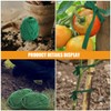 Levemolo Tree Ties Support Straps Rolls of Garden Net Straps