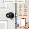 Probrico Smart Door Knob, Fingerprint Biometric Door Knob with Smart