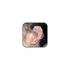2Pcs Silver Snake Cuff Hook Needle Earrings Set for Women