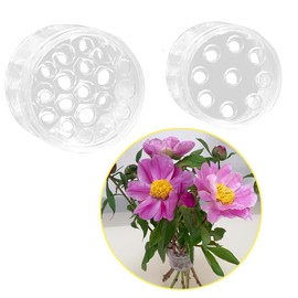 Taoxiwave Spiral Ikebana Stem Holder, Set of 2 Flower Arrangement Holders for Vase Floral Stems Bouquets Plant Fixation (Clear(S+L))