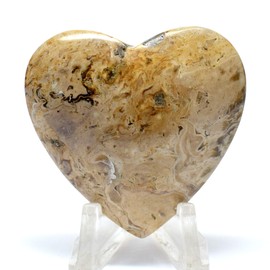 44mm Petrified Wood Palm Tree Heart Natural Sparkling Palmoxylon Crystal Fossilized Agate Mineral Polished Gemstone Love Heart - Indonesia + Acrylic Display Stand