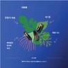 Motherlove More Milk Moringa 마더러브 모어 밀크 모링가 60캡슐, 60정,